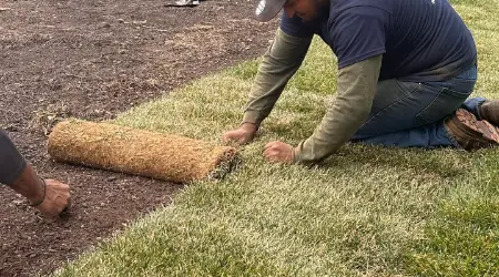 New Lawn Being Installed Using Sod