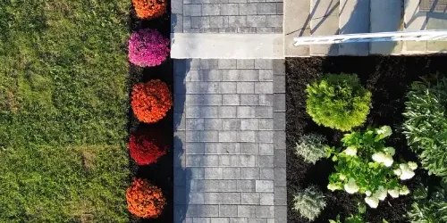 Landscaping Design Company